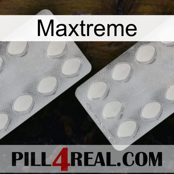 Maxtreme 17.jpg